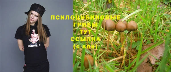 каннабис Новокубанск