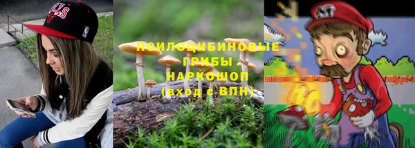 каннабис Новокубанск